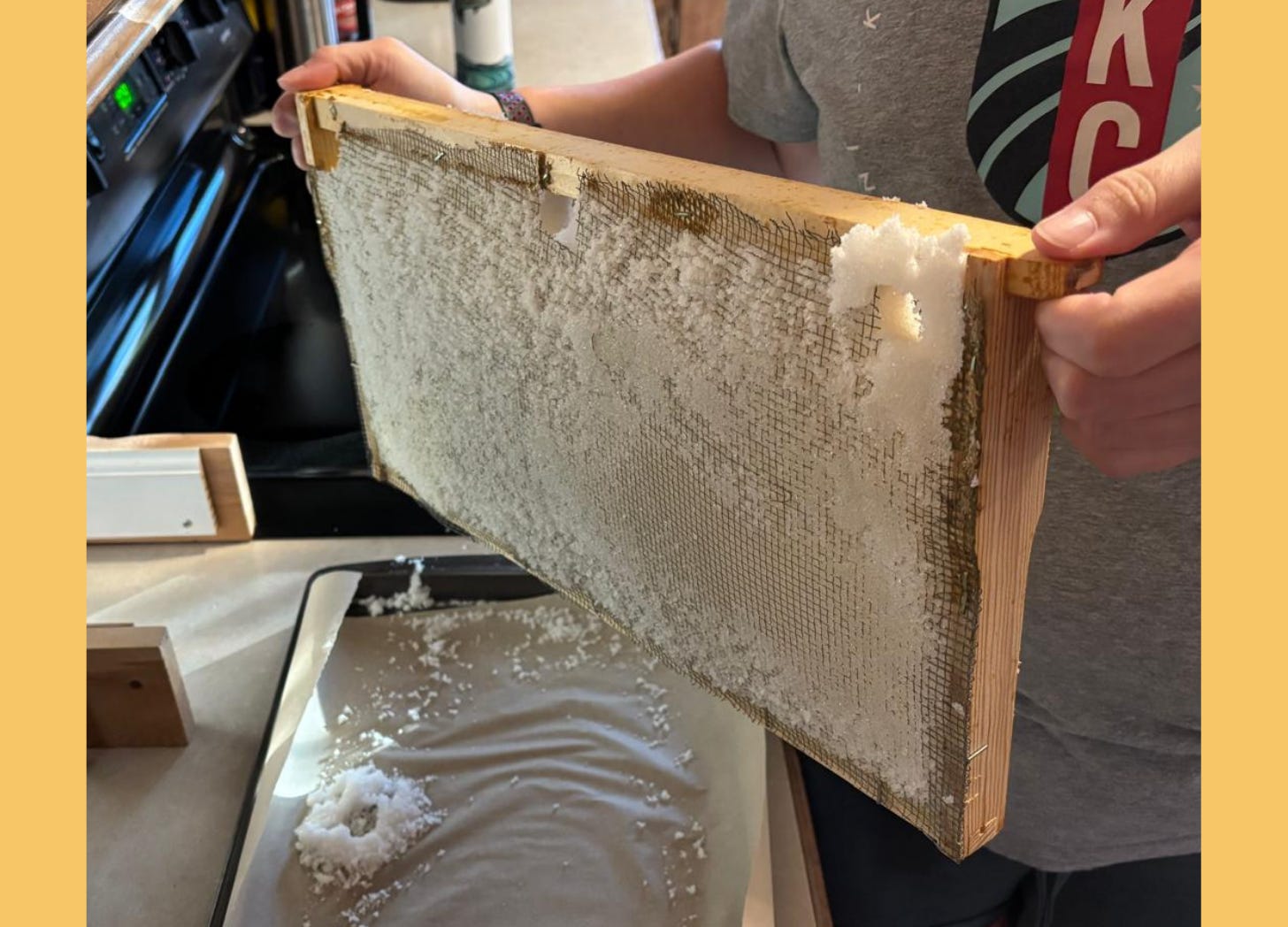 Dried Socker Mat with Bee Tunnels