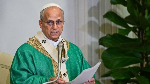 Good Samaritan a story about how we see others, says Pope