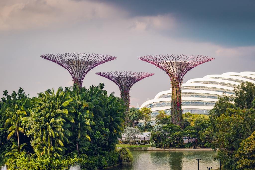 Is Singapore Truly Sustainable?: Greenwashing in the 'City in a Garden –  Urban Asia Blog