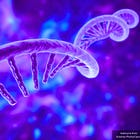 Texas Bill Introduced to Ban Manufacture and Sale of mRNA Products for 'Communicable Diseases': HB 3176
