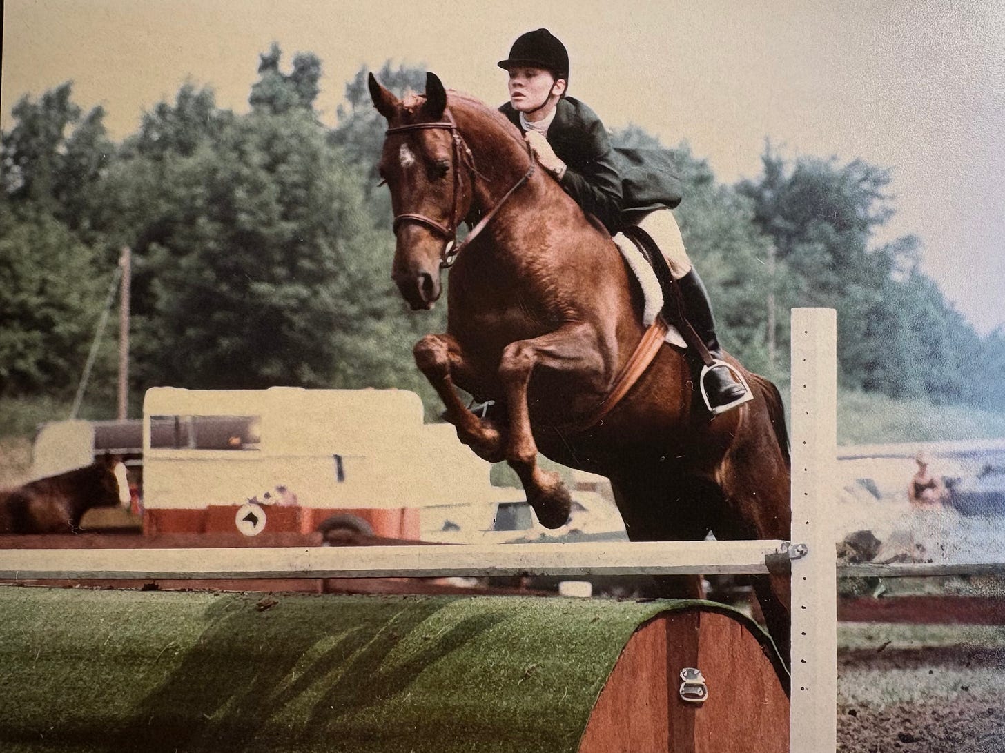 girl in riding togs on a chestnut mare jumping over a rollback 