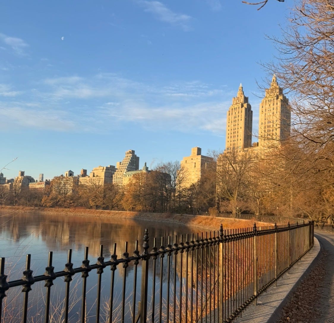 why 2026 is my year of stability and adventure