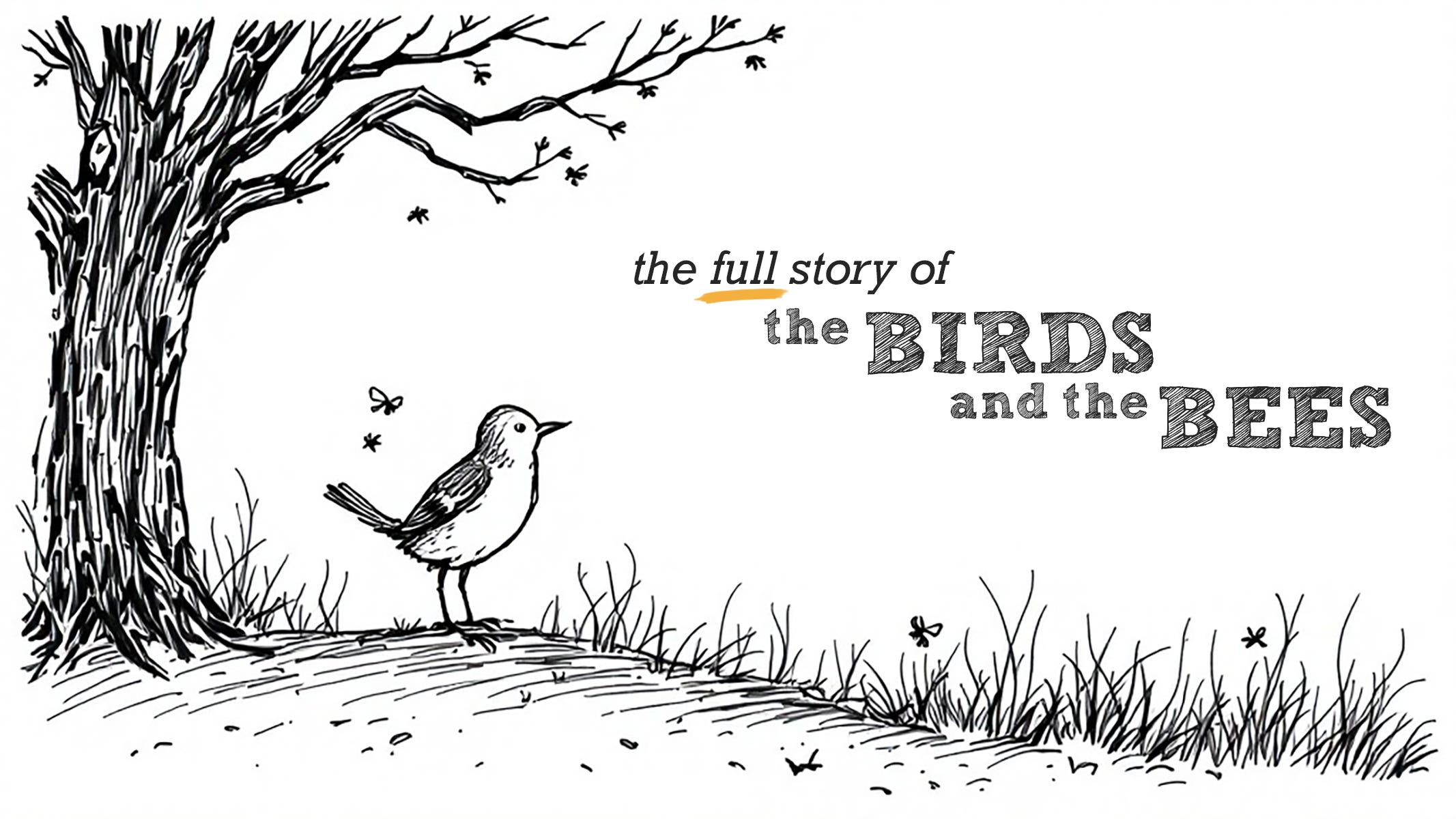The Full Story of the Birds and the Bees - by Kevin Young