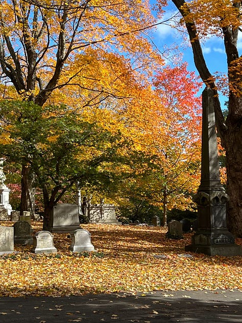 Colorful autumn trees in a cemetery, and an image of two turkeys who live there.