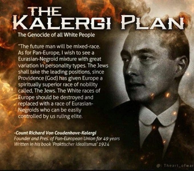 THE KALERGI PLAN