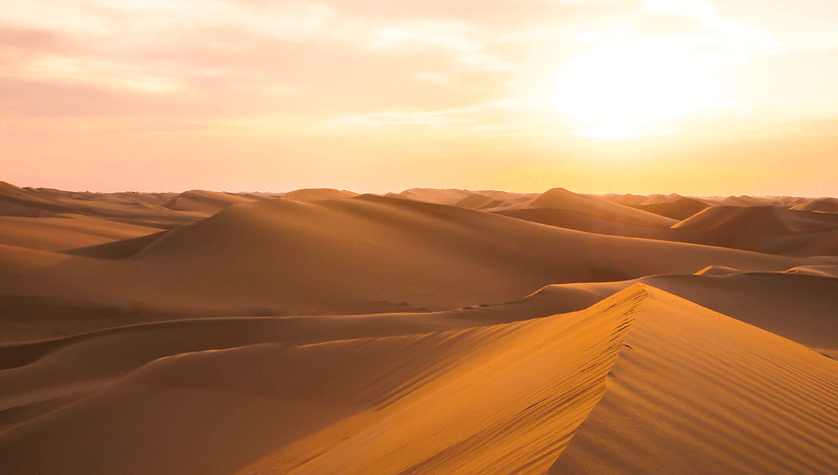 What's Underneath Sand And Desert Sand? | IFLScience