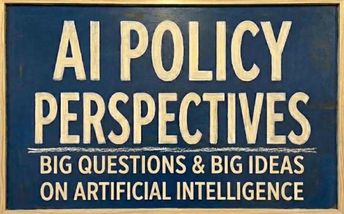 AI Policy Perspectives 