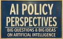 AI Policy Perspectives 