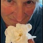Anita Kalnay's avatar