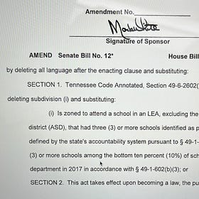 On the Agenda: Statewide School Privatization