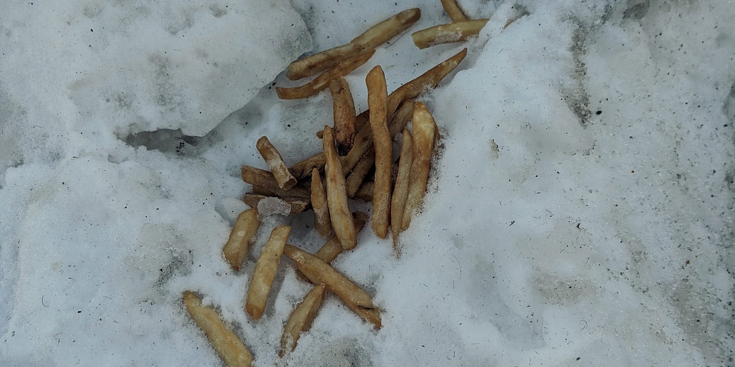 French Fries in the snow.
