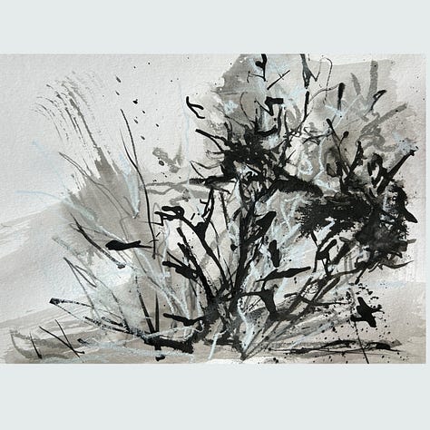 selected 2025 artwork by Lisa Sinicki