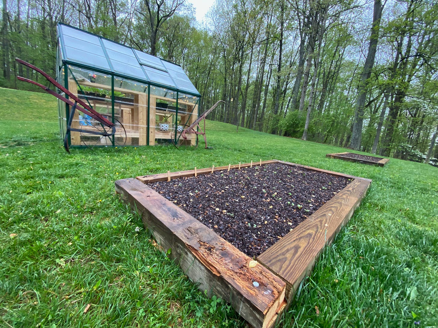 Sown and Ready