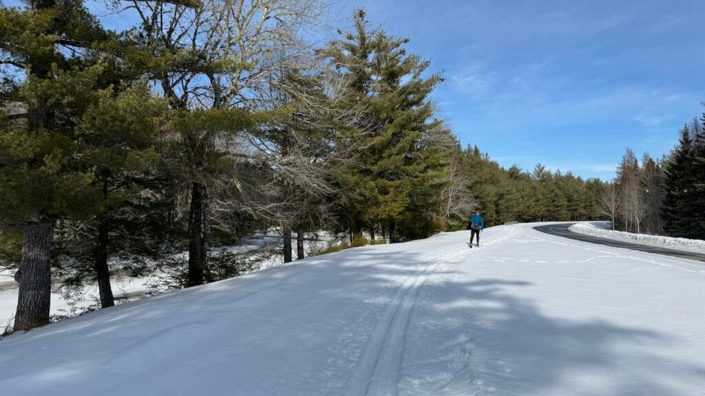 A lone cross?country skier glides along parallel tracks on a bright, snowy verge next to a curving road, bordered by tall evergreens and leafless trees beneath a clear blue sky.