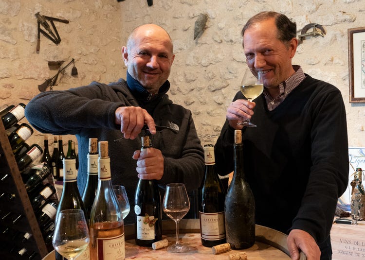 "Domaine du Salvard has been a working domaine since 1898,