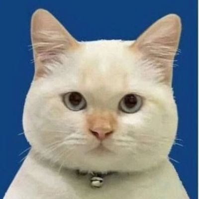 Substack profile picture for @econo