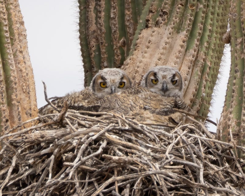 20250512-AvraValley-3-Edit 2.jpg 20250512-AvraValley-3-Edit 2.jpg