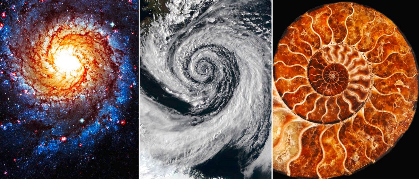 Nature Spirals Nature Spirals