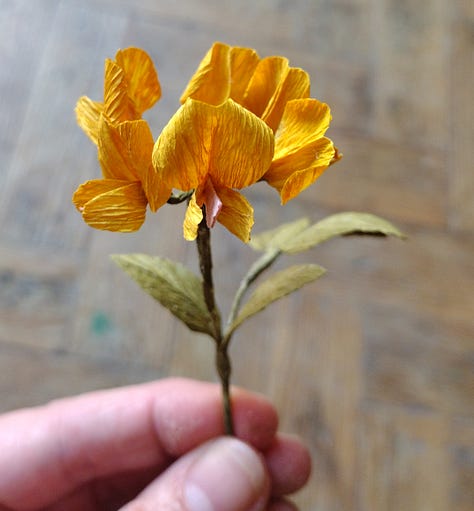 Supersized paper version of grass flower heads pictured against a photo of the real thing; paper birds foot trefoil, paper Linnea flower