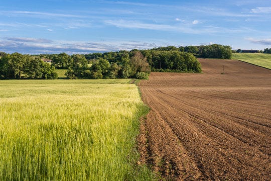 Fallow Field Images – Browse 35,627 Stock Photos, Vectors, and Video |  Adobe Stock