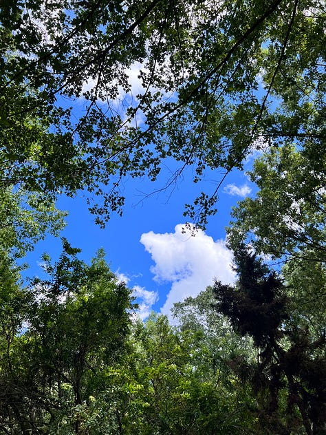 pictures from the birmingham botanical gardens