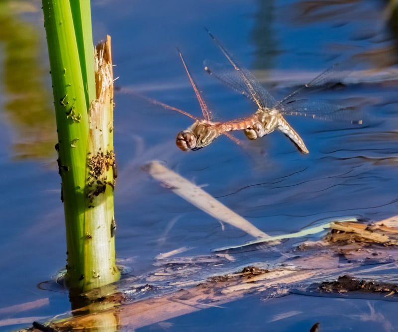 20260902-Sweetwater-138-Edit.jpg 20260902-Sweetwater-138-Edit.jpg