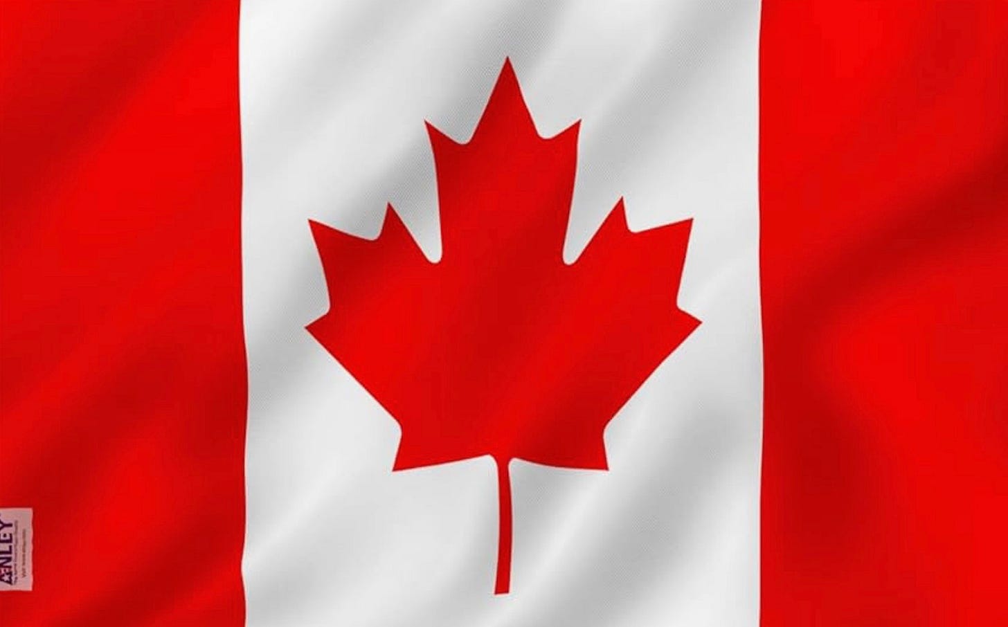 A red and white flag with a leaf

Description automatically generated