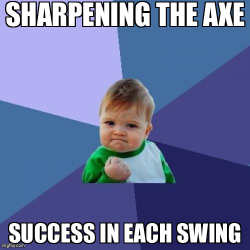 Success Kid Meme | SHARPENING THE AXE; SUCCESS IN EACH SWING | image tagged in memes,success kid | made w/ Imgflip meme maker