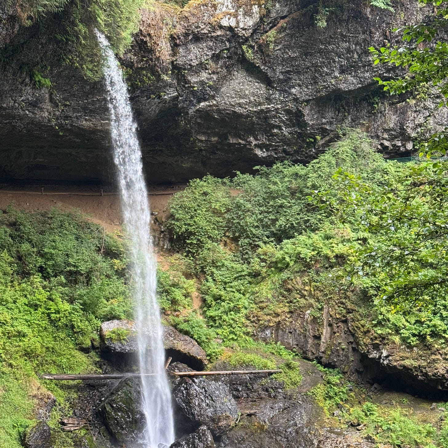 A waterfall cascading down layered basalt cliffs into a dark pool, surrounded by moss-covered rocks and lush green forest in Oregon.