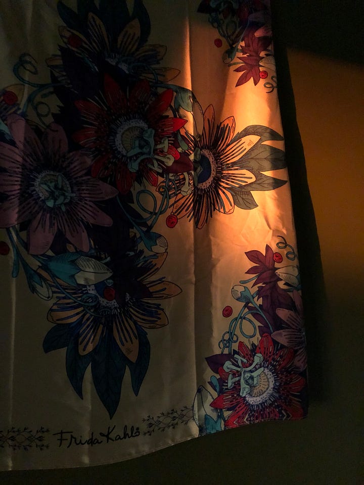 Afternoon light delight across my walls.