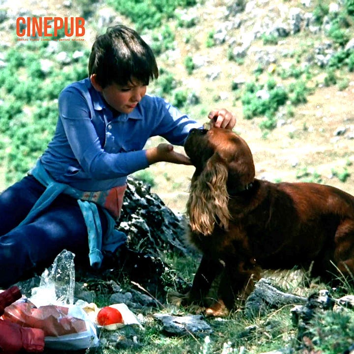 Cireșarii - still images