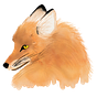 Michael Fuchs's avatar