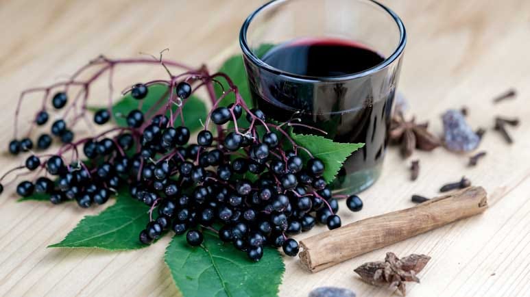 elderberries confirmed as immunity booster
