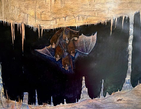 watercolors of bats, birds, and caves, Carlsbad caverns national park artist residency studio and bat mascot