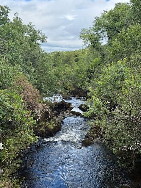 Top: Inlet, Holy well, Ladie's View Middle: Derrynane Beach, Healy Pass, Waterfall next to lodging Bottom: One of many river and lakes, front yard/view from our lodging