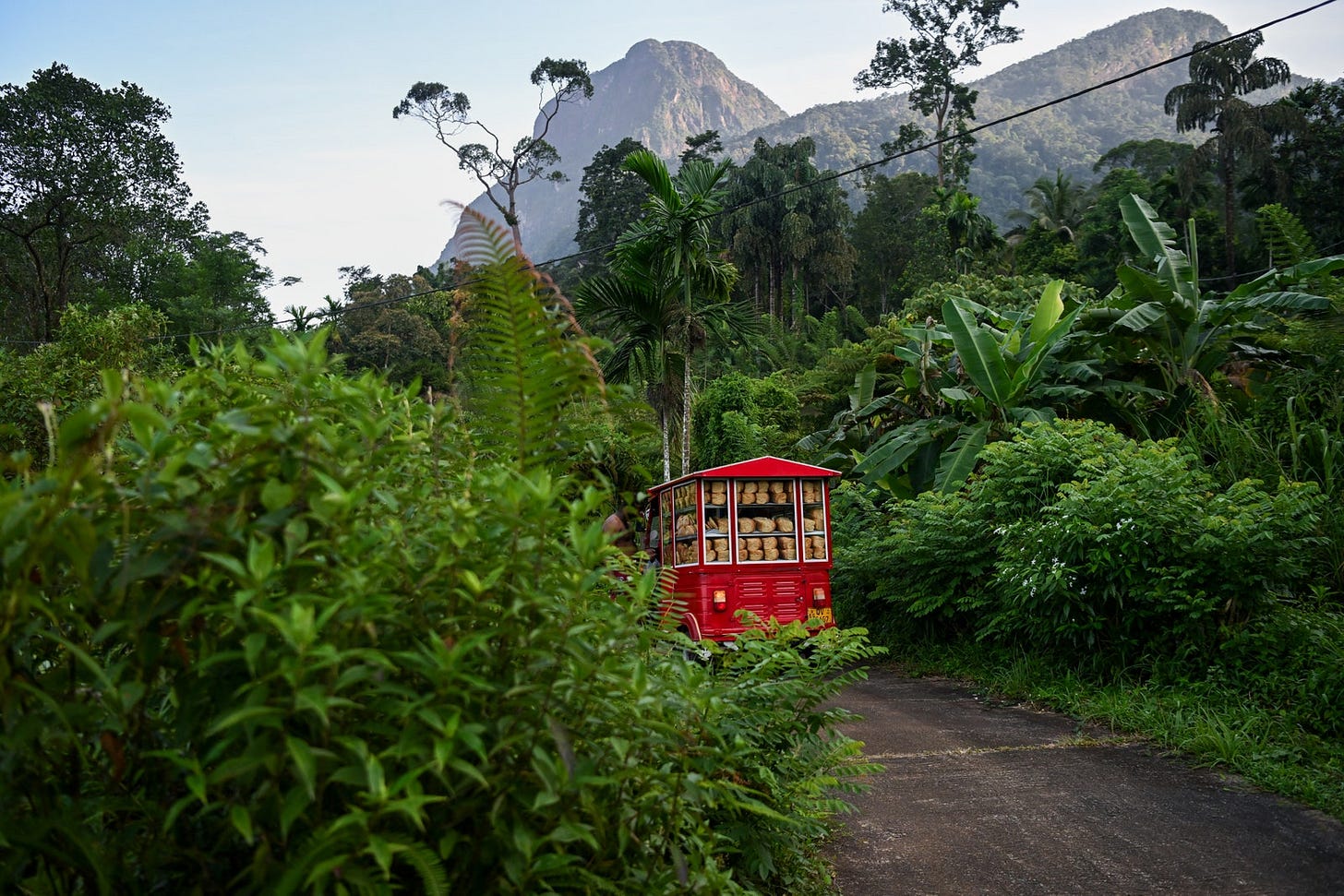A red tuk tuk in the jungles.