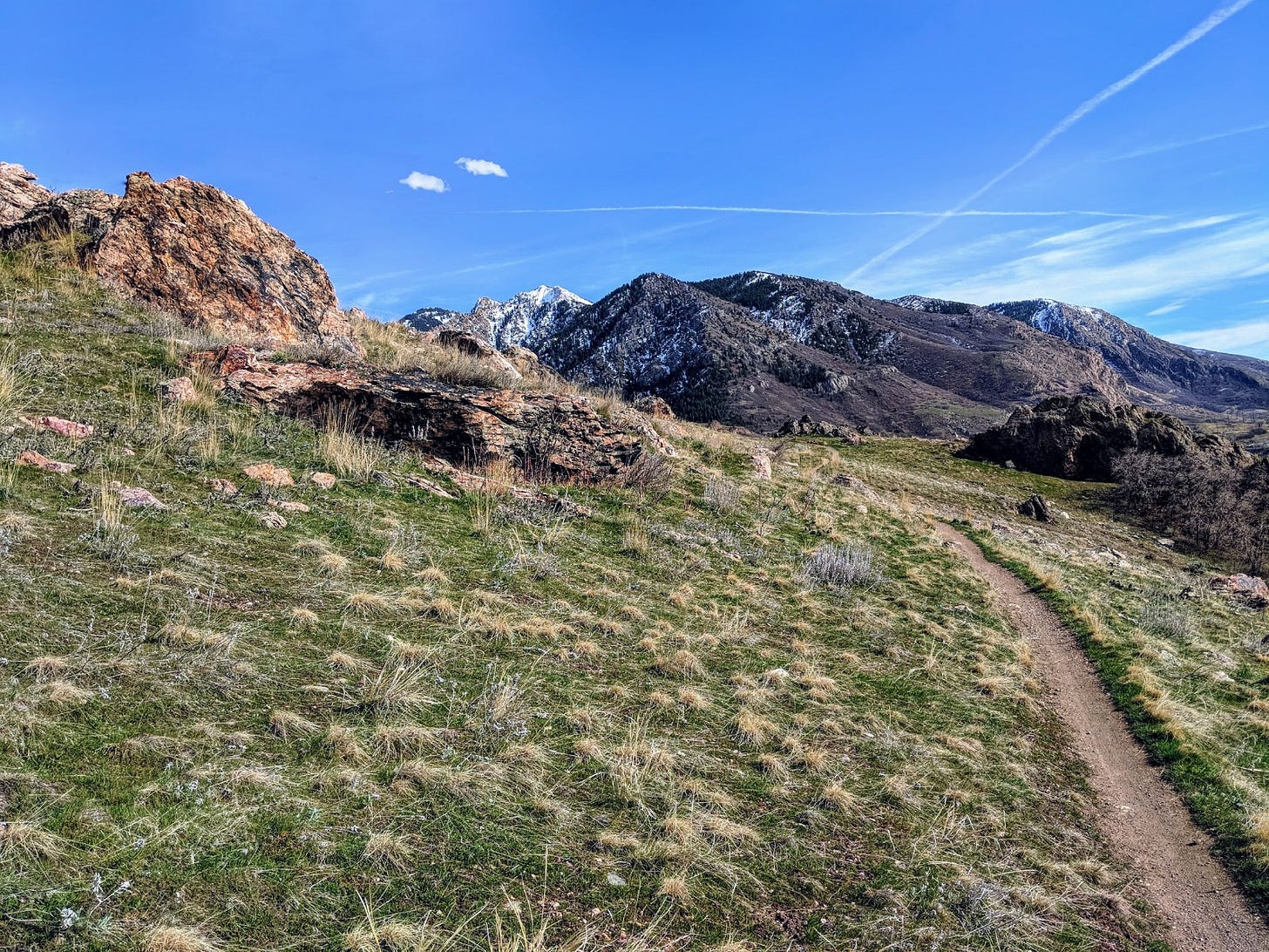 The Knob Trail