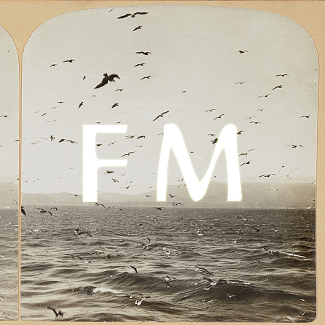 Future Memory by Amanda Sandlin