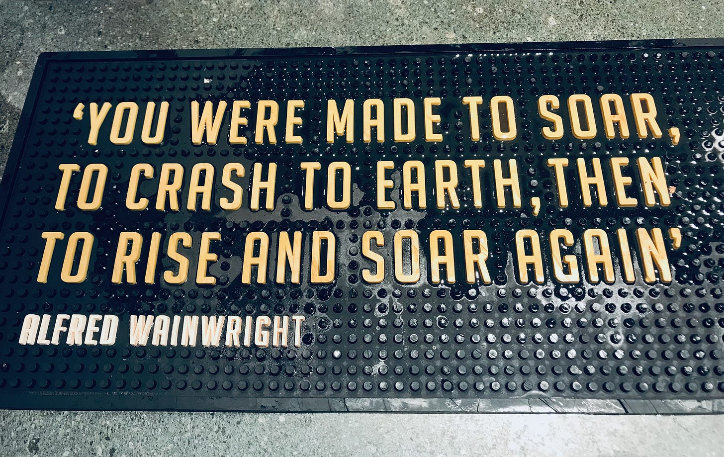 You were made to soar, to crash to earth, then to rise and soar again.
