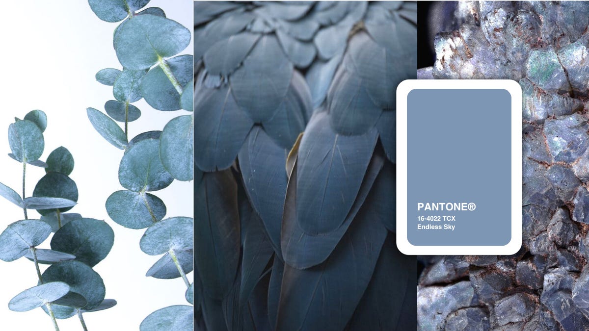 Glaucous Blue: Meaning, Psychology, History, Design