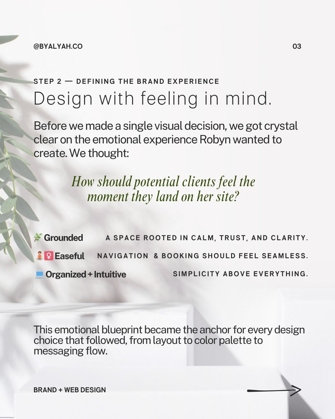 Design with feeling in mind with a picture of a blank wall and plant shadow