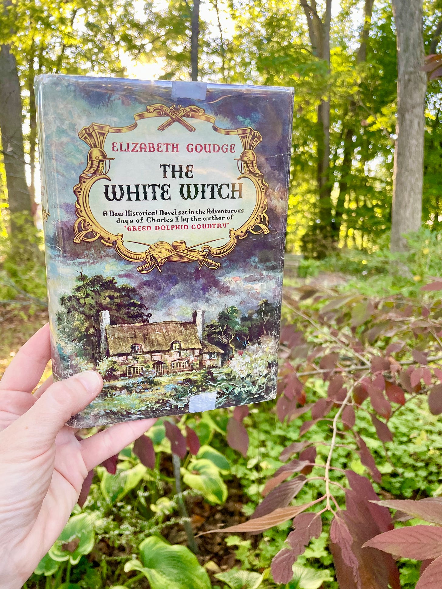 cover of The White Witch by Elizabeth Goudge cover of The White Witch by Elizabeth Goudge