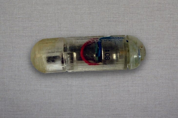 MIT obesity pill