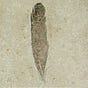 Grundvilk's avatar