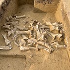 Anthropology.net