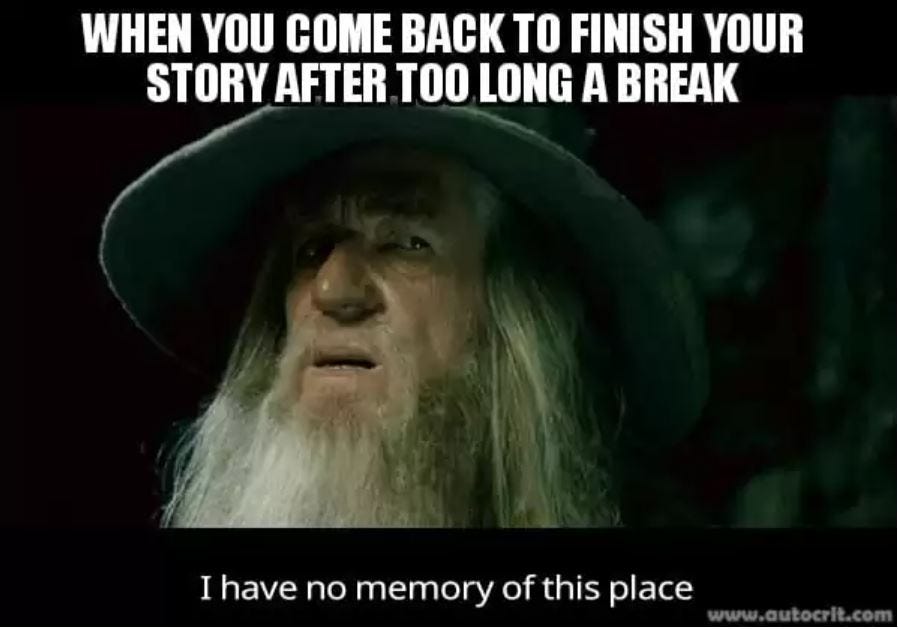 Funny meme about writing.