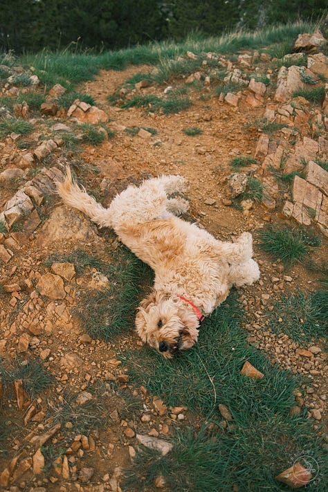 Fuji photographs of life in Montana by Tyler Knott Gregson