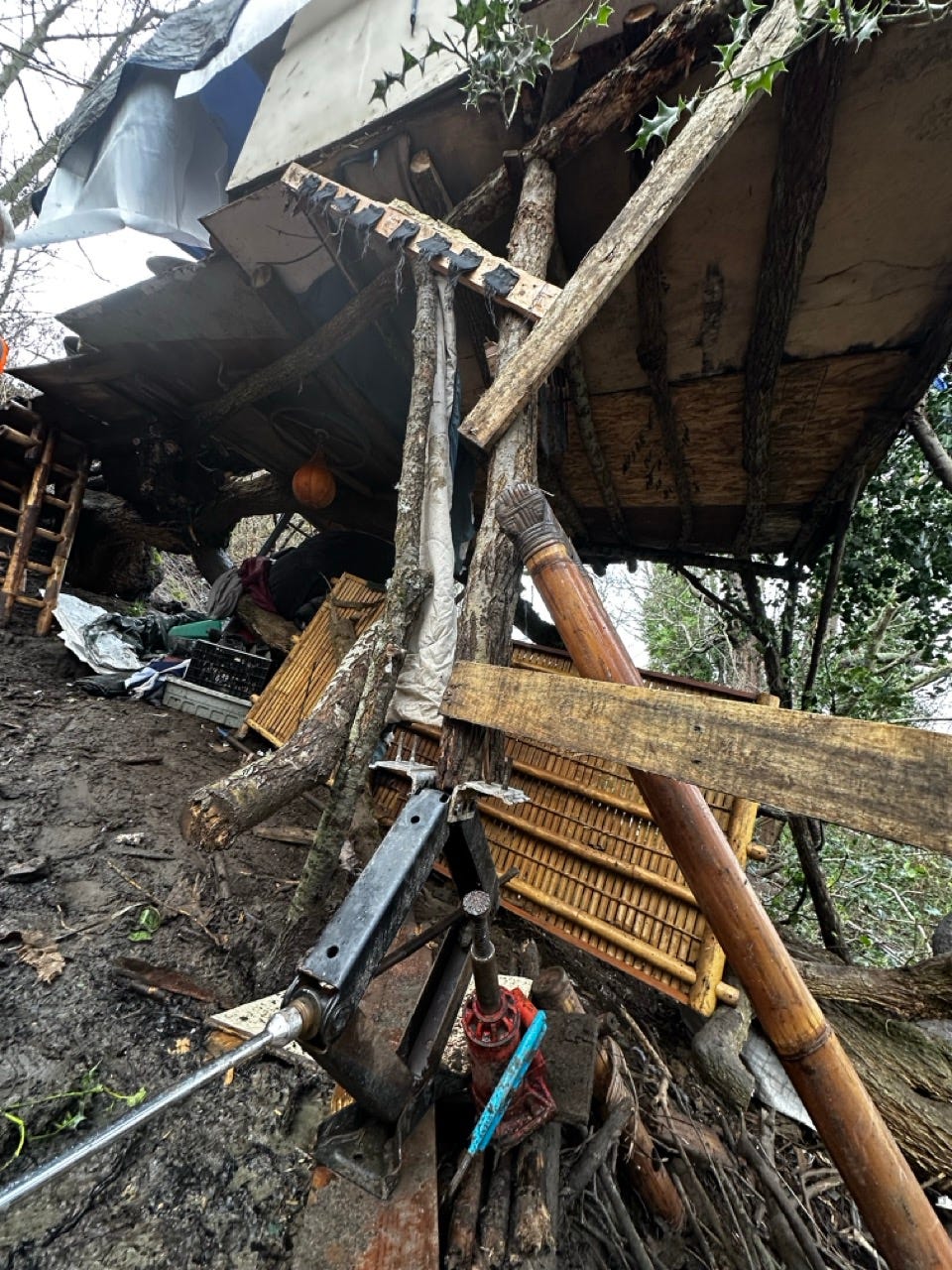 A tree house with a pile of wood and tools

Description automatically generated with medium confidence