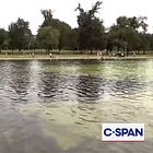 Four lessons Trump can learn from Trump amid his Reflecting Pool fiasco