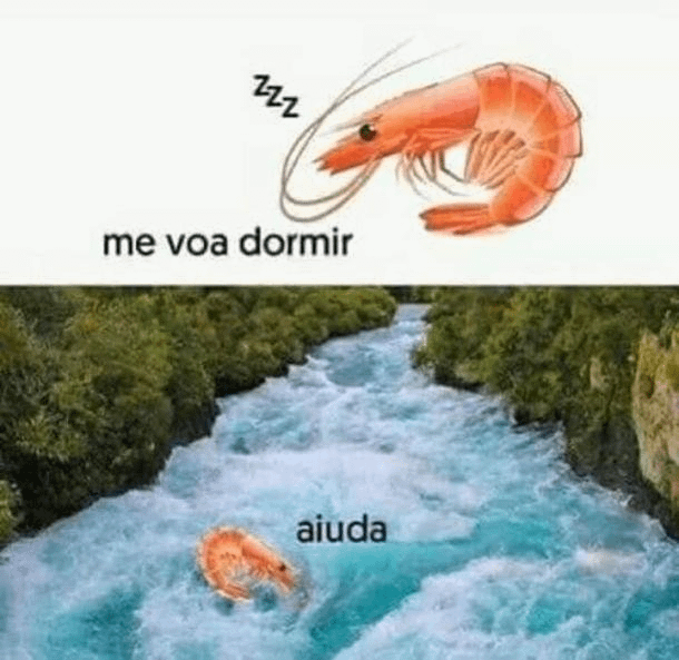 Camarão que dorme da praia a onda leva : r/brasil